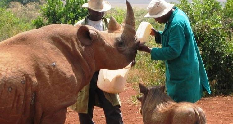 Nairobi To Kigali (13 Days) Gorillas & Gameparks - Oasis Overland 10