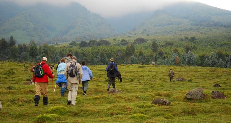 Des randonneurs marchant à travers un paysage luxuriant vers les montagnes.
