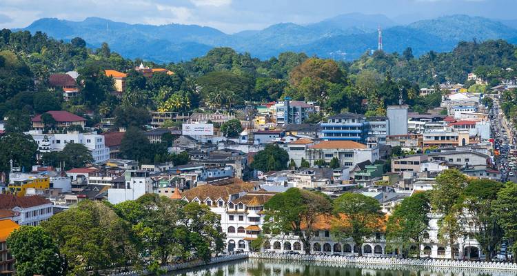 Sri Lanka Northeast Explorer - 12 days - On The Go Tours 3