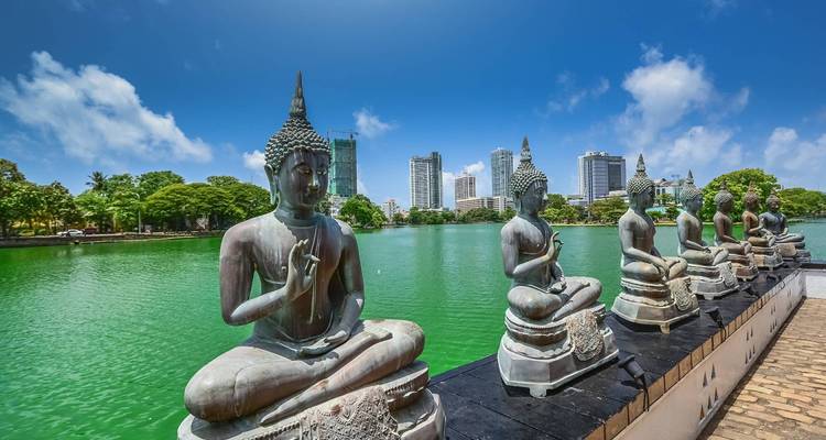 Sri Lanka Northeast Explorer - 12 days - On The Go Tours 8