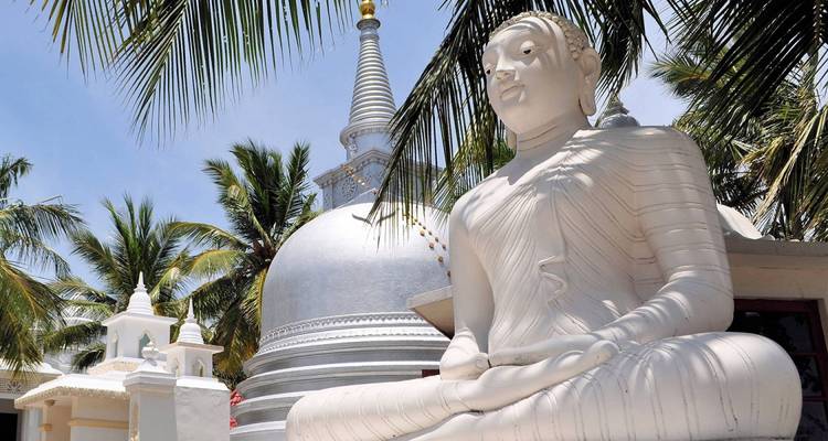 Sri Lanka Northeast Explorer - 12 days - On The Go Tours 6