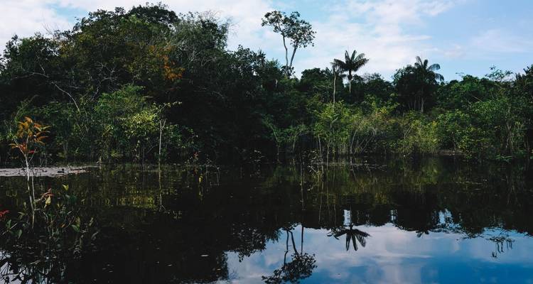 De Río a Manaos por las Guayanas (62 días) - Oasis Overland 4