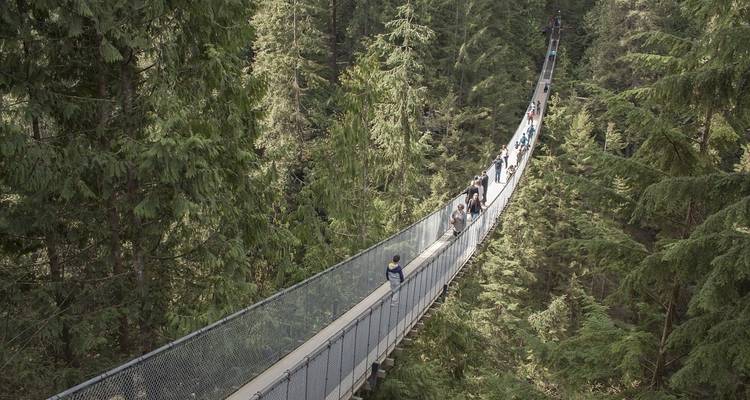 Hängebrücke umgeben von üppigem Wald mit gehenden Menschen.