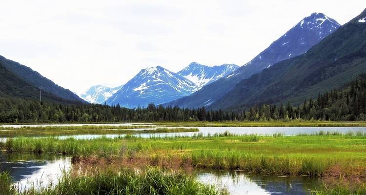 Vaste paysage montagneux avec une végétation luxuriante et un lac serein.