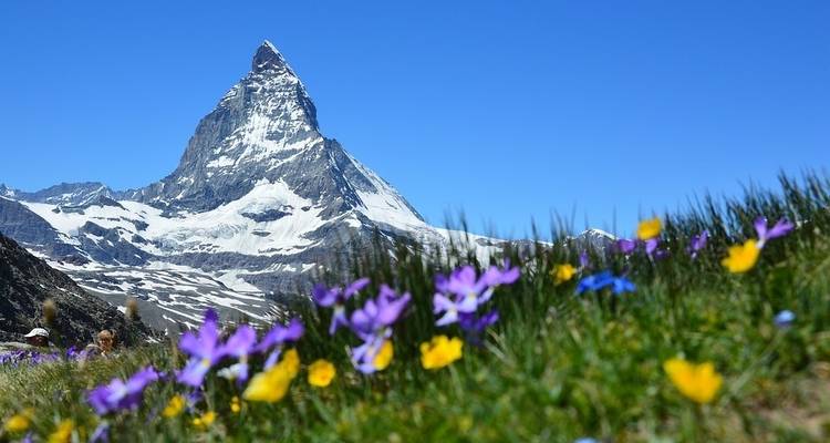 Lo mejor de Suiza - Trafalgar 4
