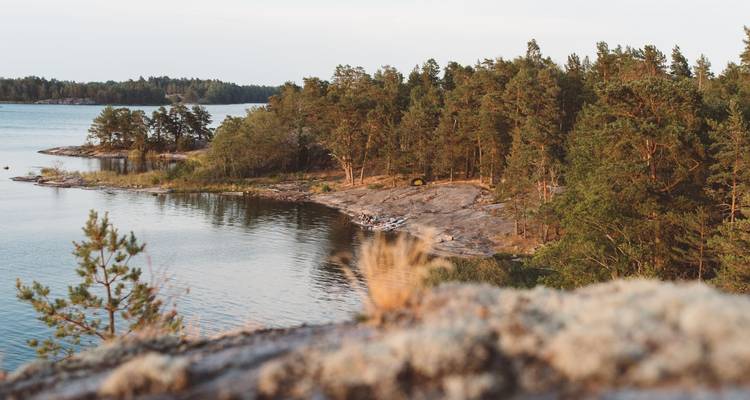 Rive boisée d'un lac dans un cadre paisible.
