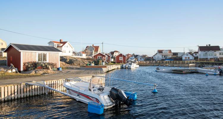 Un goût de Scandinavie - Intrepid Travel 1