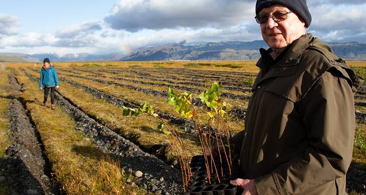 Premium Islande - Intrepid Premium 8