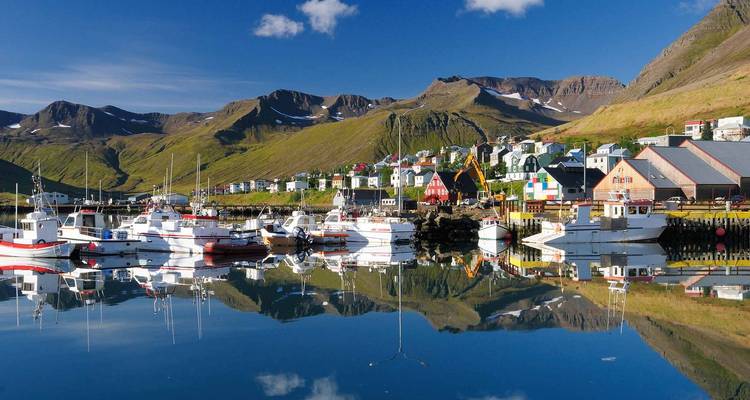 Ein ruhiger Hafen mit bunten Häusern, die sich im ruhigen Wasser spiegeln, umgeben von Bergen.