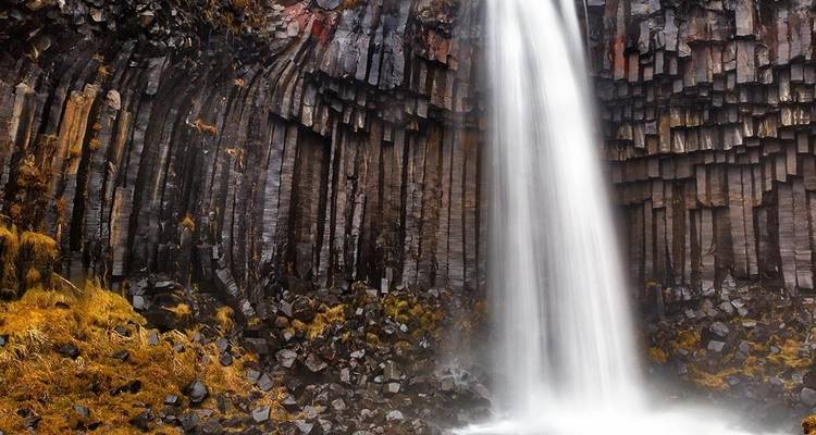 Premium Islande - Intrepid Premium 2