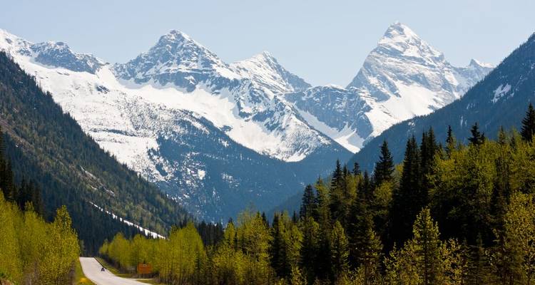Montagnes enneigées avec une route menant dans la forêt au premier plan