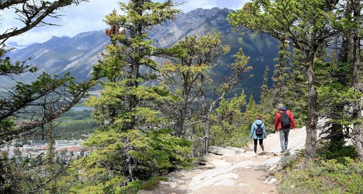 Deux personnes faisant de la randonnée le long d'un sentier forestier avec des montagnes en arrière-plan