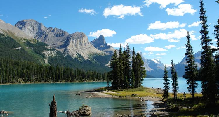 Real Canadian Rockies - Intrepid Travel 7