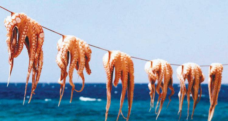 Best of Greece - Intrepid Travel 2