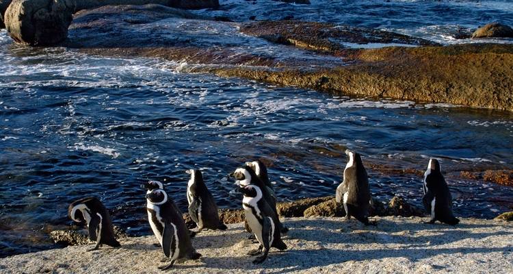 11 jours de la Namibie au Cap - avec hébergement - Acacia Adventure Holidays 7