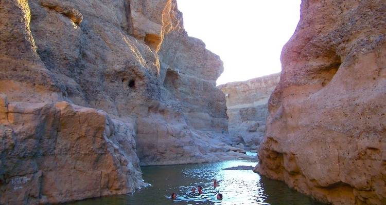 11 jours de la Namibie au Cap - avec hébergement - Acacia Adventure Holidays 3