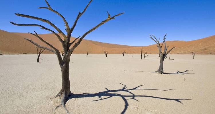 11 jours de la Namibie au Cap - avec hébergement - Acacia Adventure Holidays 9