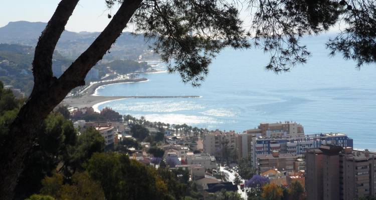 Landschappelijk uitzicht op een stad vanaf een hoog uitkijkpunt.