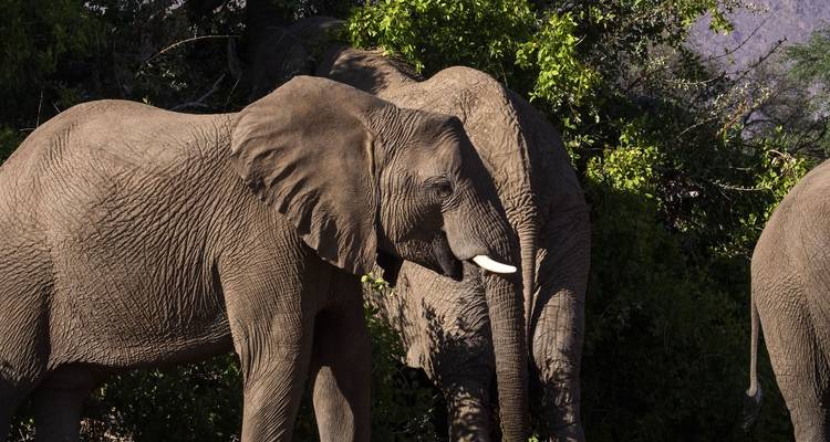 43-day Kenya to Cape Town (Accommodated) - Acacia Adventure Holidays 3