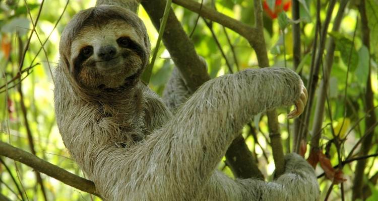 Vacaciones en familia en Costa Rica - Green World Adventures 4