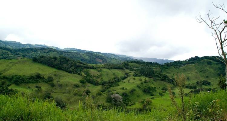 Des collines ondulantes avec une végétation dense sous un ciel nuageux.