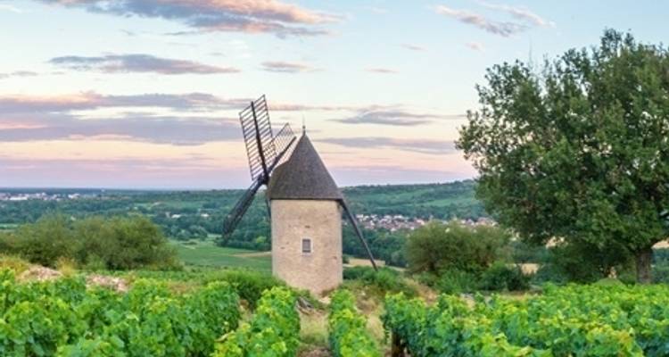 Buena Comida y Vinos en un Crucero por la Región de Borgoña (crucero puerto a puerto) (9 destinations) - CroisiEurope River Cruises 10