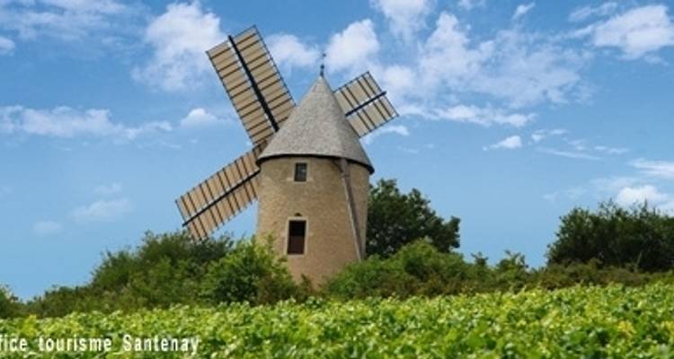 Buena Comida y Vinos en un Crucero por la Región de Borgoña (crucero puerto a puerto) (9 destinations) - CroisiEurope River Cruises 5