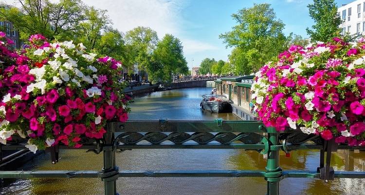 De Basilea a Ámsterdam : Los tesoros del célebre río Rin (crucero puerto a puerto) (24 destinos) - CroisiEurope River Cruises 10
