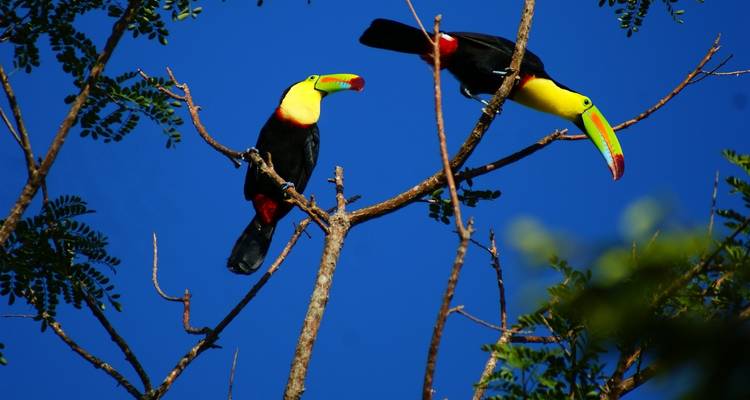 Mountains & Beaches in Costa Rica - Green World Adventures 10