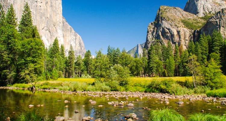 San Francisco y Yosemite exprés 3D/2N - desde Los Ángeles - Bamba Travel 7