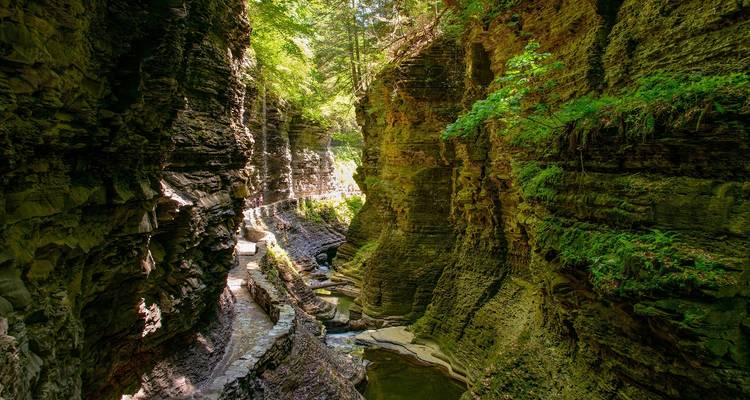 Cataratas del Niágara, Washington DC, Filadelfia y país Amish 4D/3N - desde Nueva York - Bamba Travel 7