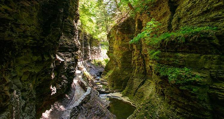 Les Chutes du Niagara, Washington DC, Philadelphie et le pays des Amish 4J/3N (au départ de New York) - Bamba Travel 6