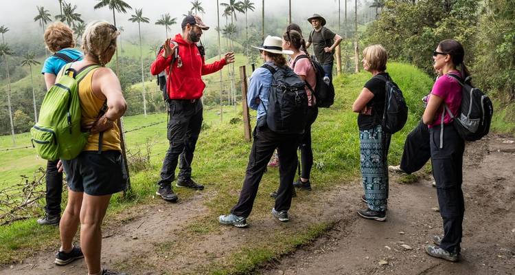 Excursionistas con mochilas guiados por un guía en un sendero con palmeras altas.