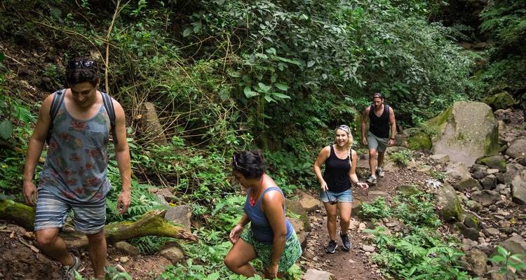 Small group hiking on a lush green jungle trail surrounded by dense vegetation