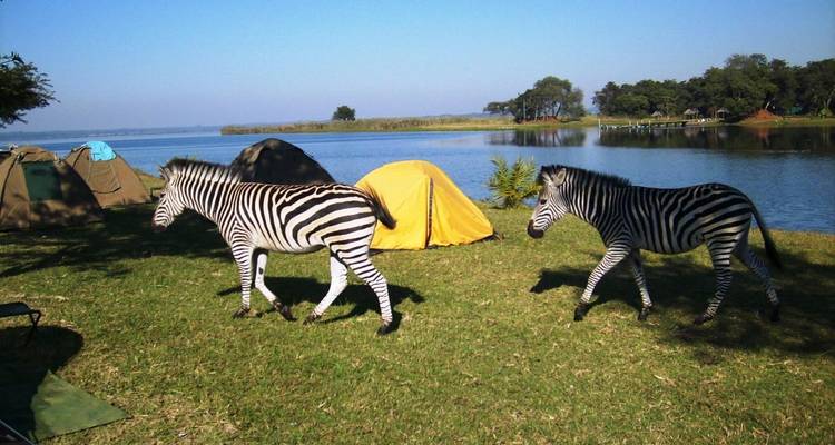 De Nairobi a Harare (24 días) Savanna Dawn - Oasis Overland 6