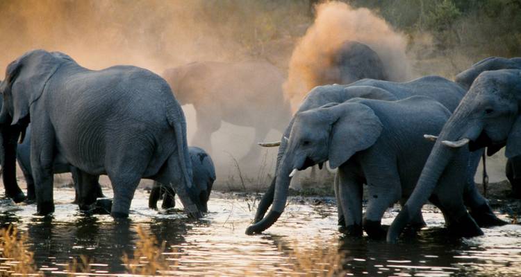 Les points forts du Botswana (12 destinations) - Intrepid Travel 7