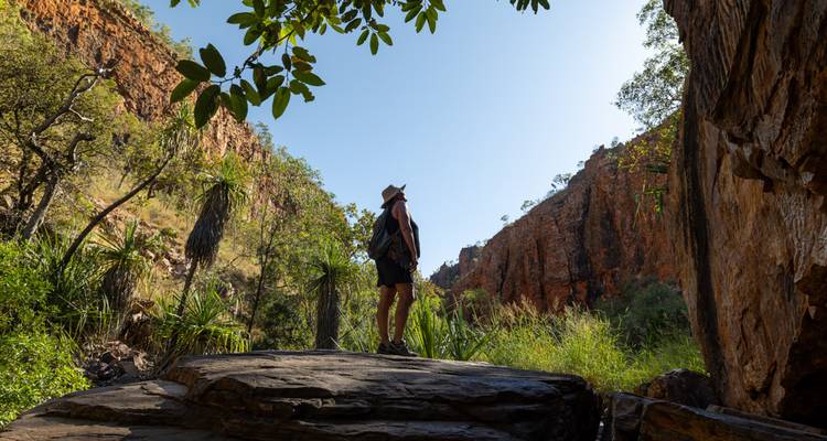 Wild Kimberley Overland (10 destinations) - Intrepid Travel 1