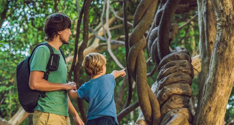 Borneo Family Holiday Comfort (including Sepilok) - Intrepid Travel 2