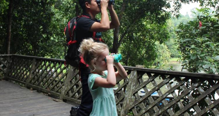 Borneo Family Holiday Comfort (including Sepilok) - Intrepid Travel 8