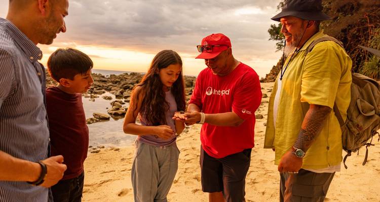 Un guide montre un coquillage à des enfants et à des adultes sur une plage de sable tropical au crépuscule.