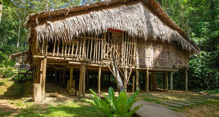 Maison traditionnelle en bois sur pilotis avec toit de chaume située dans la jungle dense.