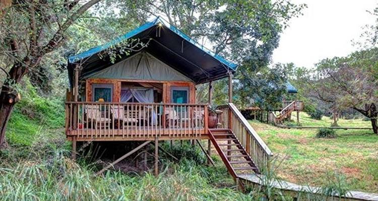 3 jours de Glamping sur la Route des Jardins de Botlierskop et Safari sur la Côte des Baleines avec Transferts Privés - Hotspots2c 7