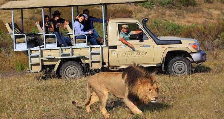 3 jours de Glamping sur la Route des Jardins de Botlierskop et Safari sur la Côte des Baleines avec Transferts Privés - Hotspots2c 4