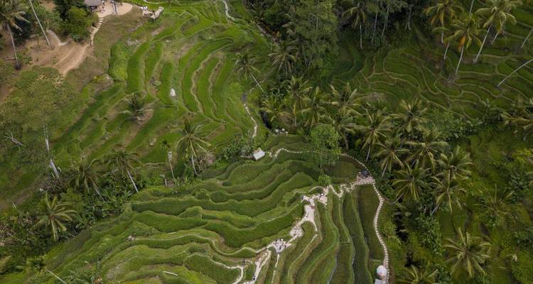 L'essentiel de Bali et des îles Gili - Intrepid Travel 4