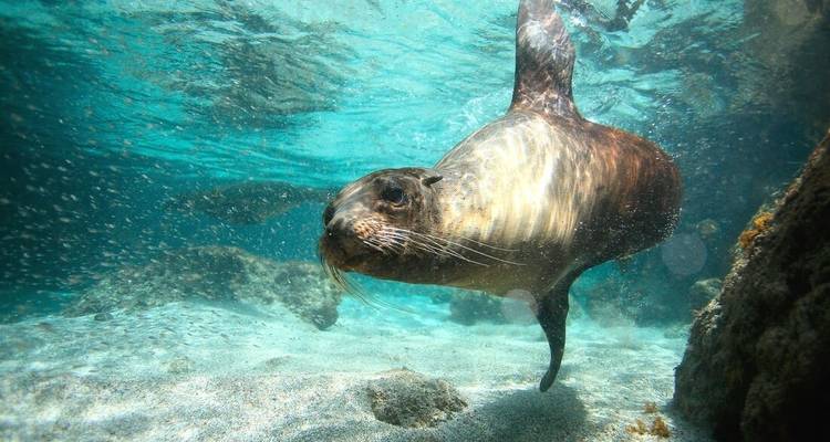 Best of Peru & Galapagos (including Lake Titicaca) - Intrepid Travel 7