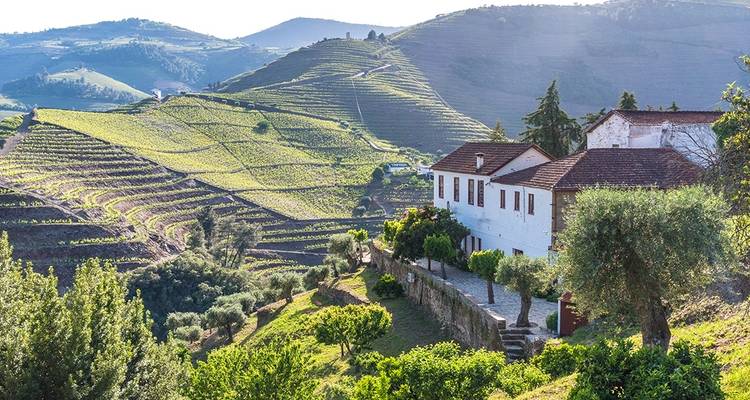 Aventura gastronómica en España y Portugal - Intrepid Travel 1