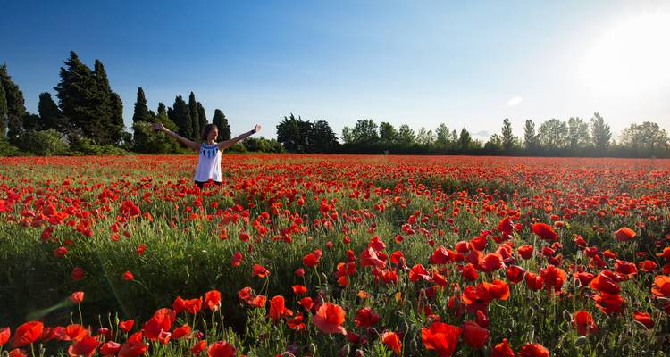 Cycle Provence - Intrepid Travel 1