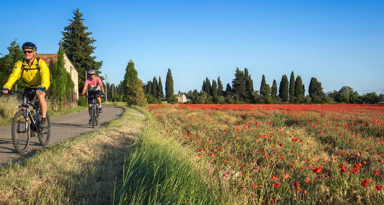 Cycle Provence - Intrepid Travel 4
