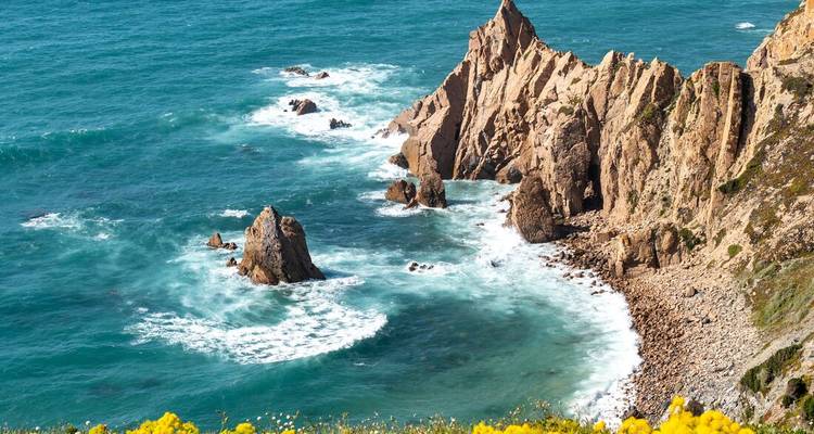 Côte rocheuse spectaculaire avec des vagues turquoise et des fleurs sauvages jaunes au premier plan