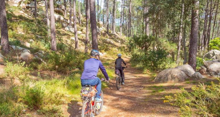 Deux cyclistes roulent à travers une forêt de pins parsemée de lumière solaire sur un sentier de terre